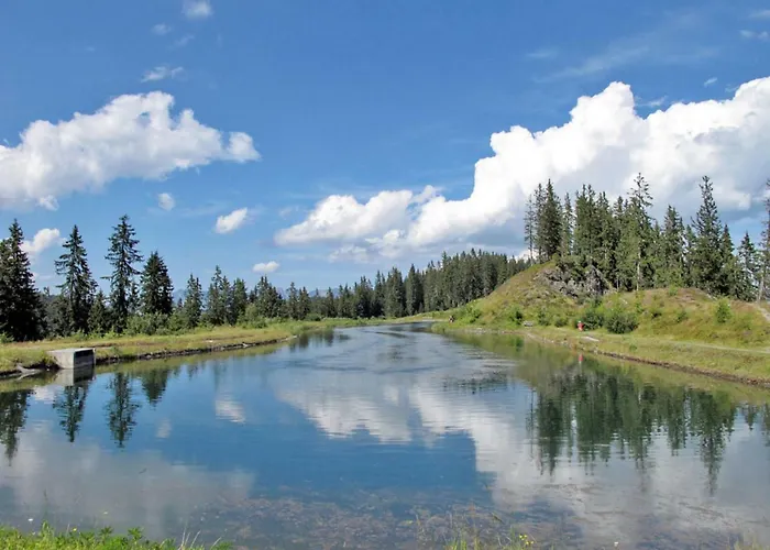 Apartment Lechners Wohnwelt-2 By Interhome * Stumm